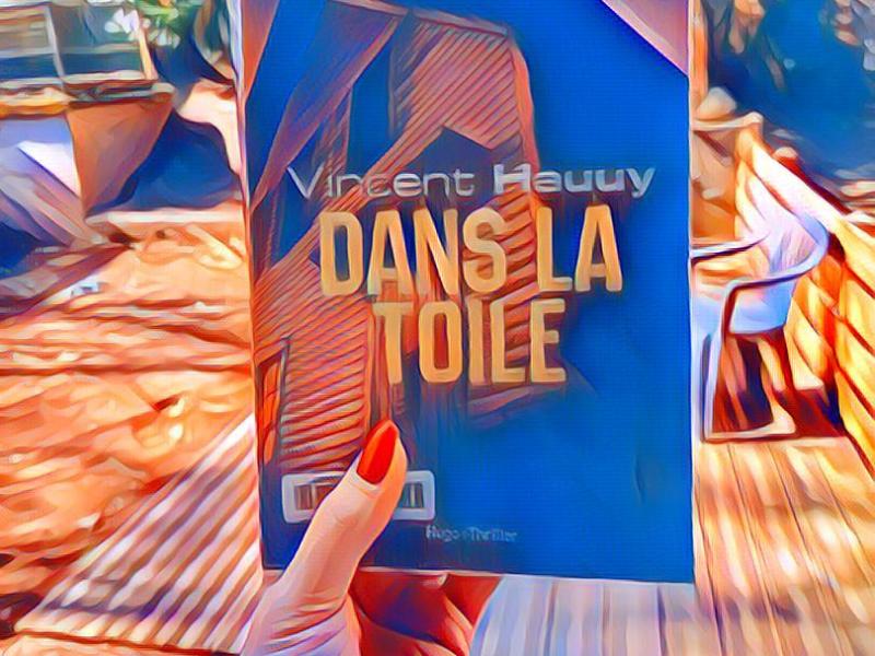 Dans la toile de Vincent&nbsp;hauuy